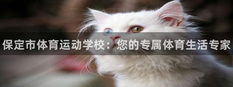 vsport体育官网下载招商电话是多少啊：保定市体育