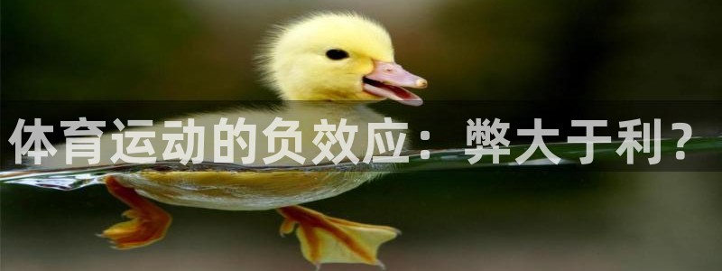 vsport体育官方正版app集团：体育运动的负效应