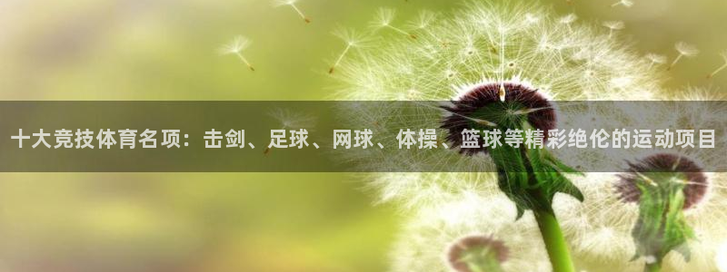 德国vsport体育官方正版app集团：十大竞技体育名项：击