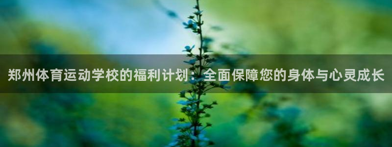 vsport体育官网下载招商电话号码是多少啊：郑州体育运动学