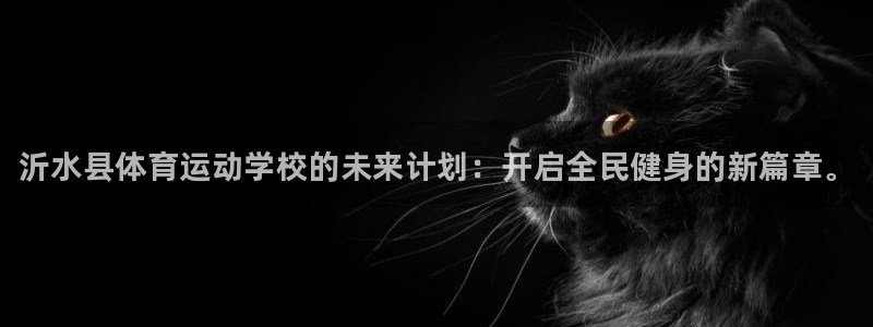 vsport体育官方正版app集团简介：沂水县体育运动学校的
