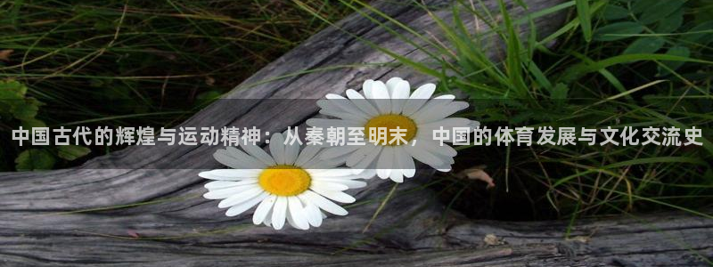 vsport体育官网下载：中国古代的辉煌与运动精神：从秦朝至