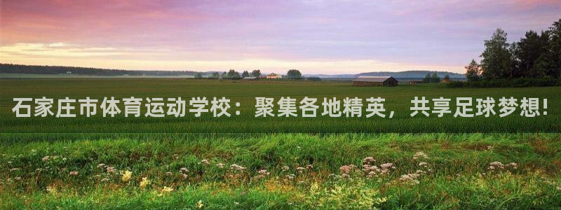 vsport体育官网下载平台是正规平台吗