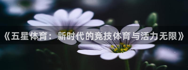 vsport体育官网下载平台：《五星体育：新时代的竞
