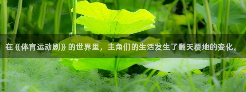 vsport体育官网下载注册：在《体育运动剧》的世界