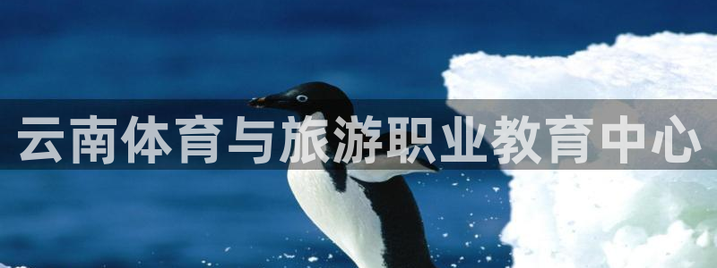 vsport体育官网下载招商电话地址查询：云南体育与