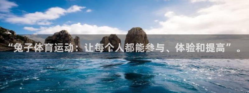 vsport体育官方正版app集团logo：“兔子体