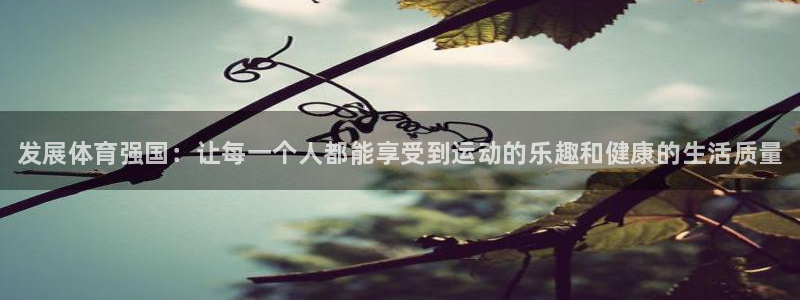 海南vsport体育官网下载发展怎么样：发展体育强国