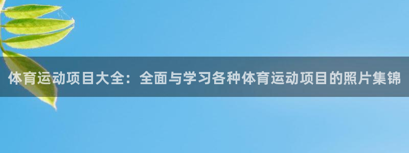 vsport体育官网下载招商电话号码：体育运动项目大