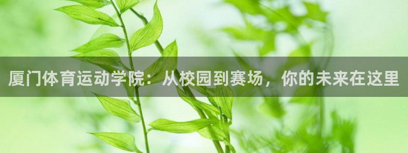 vsport体育官方正版app娱乐代理怎么样：厦门体育运动学