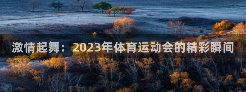 vsport体育官方正版app科技：激情起舞：2023年体育