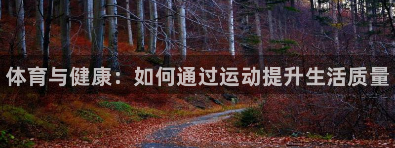 vsport体育官方正版app官网