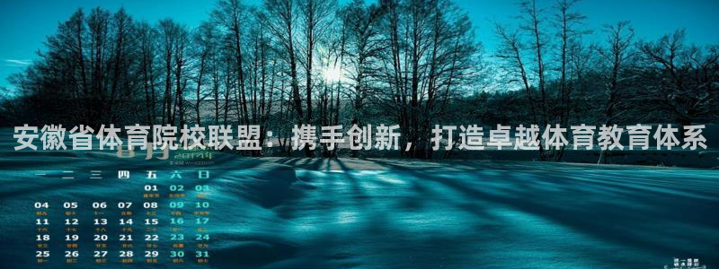 vsport体育官网下载注册：安徽省体育院校联盟：携手创新，