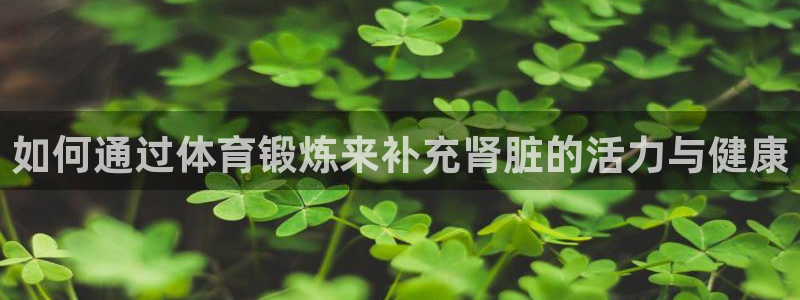 vsport体育官网下载招商电话地址是多少：如何通过体育锻炼