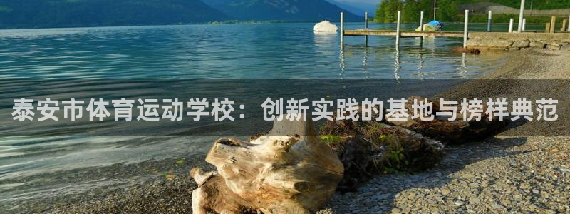 vsport体育官网下载平台是正规平台吗：泰安市体育运动学校