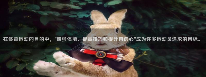 vsport体育官方正版app娱乐是那个系列的台子