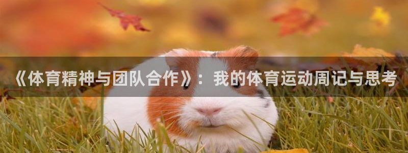 vsport体育官网下载招商电话号码查询是多少