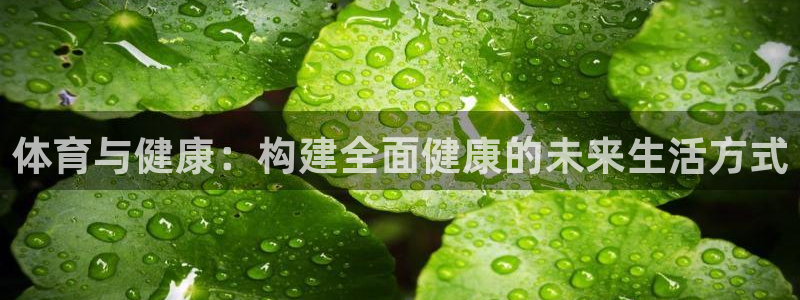 vsport体育官方正版app集团官网网址