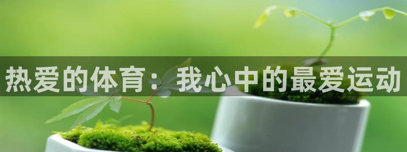 vsport体育官方正版app集团官网网址：热爱的体育：我心