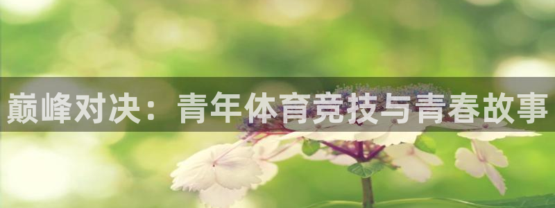 vsport体育官网下载娱乐：巅峰对决：青年体育竞技与青春故