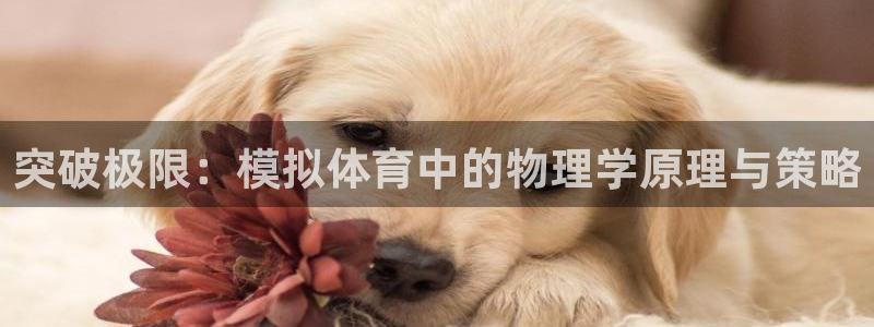 vsport体育官方正版app官网