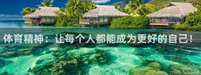 vsport体育官方正版app新能源：体育精神：让每个人都能