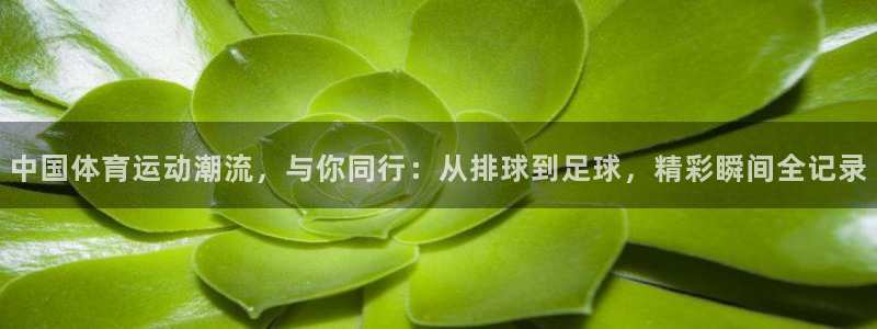 vsport体育官网下载平台注册要钱吗是真的吗：中国体育运动