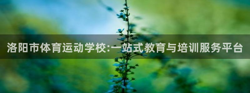 vsport体育官网下载平台是正规平台吗安全吗