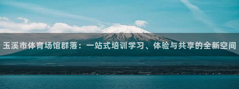 vsport体育官网下载软件
