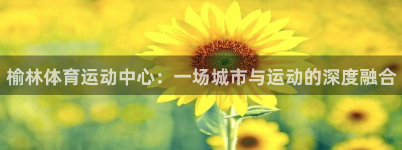 vsport体育官网下载开户：榆林体育运动中心：一场