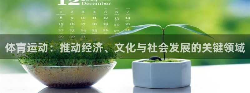 vsport体育官方正版app娱乐首页官网下载：体育运动：推