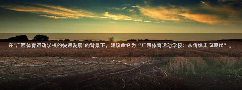 vsport体育官方正版app官网：在\