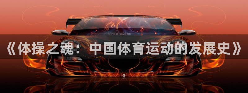 vsport体育官网下载联系电话：《体操之魂：中国体